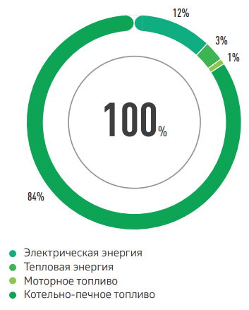 СТРУКТУРА ПОТРЕБЛЕНИЯ ТЭР