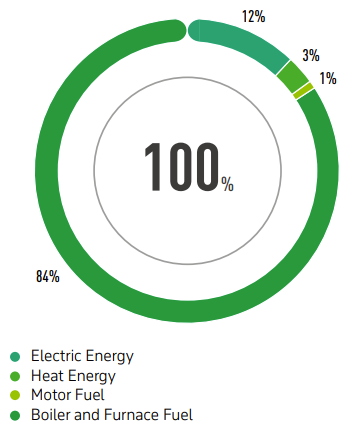 STRUCTURE OF ENERGY CONSUMPTION