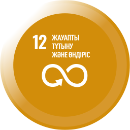 icon 12