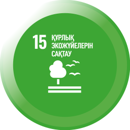 icon 15