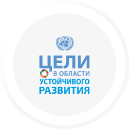 icon 0