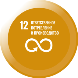 icon 12