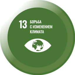 icon 13