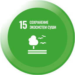 icon 15