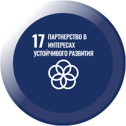 icon 17
