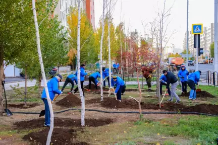 КазМунайГаз поддержал эко-инициативу Президента по посадке деревьев