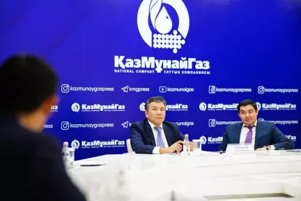 Approaches to the IPO of KazMunayGas discussed with QAMS experts